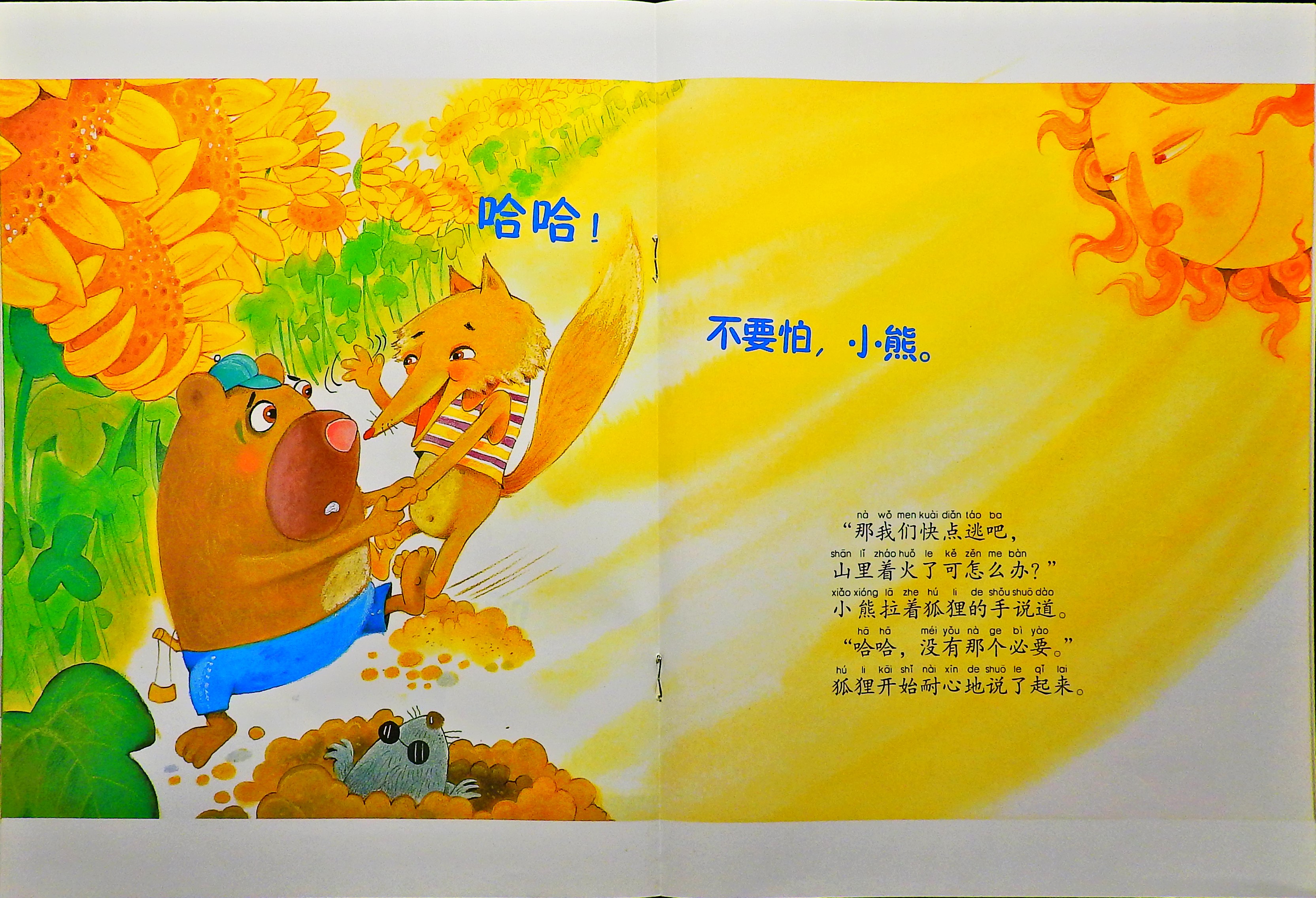 太阳是个大火球 (08),绘本,绘本故事,绘本阅读,故事书,童书,图画书,课外阅读